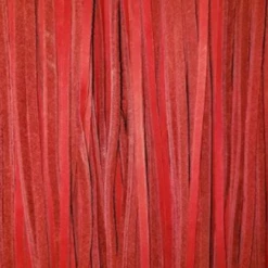 Apollo Sports Inc. Professional Glove Lace (Bundles) -Baseball Glove Sales Shop ProGloveLace RED ApolloSports